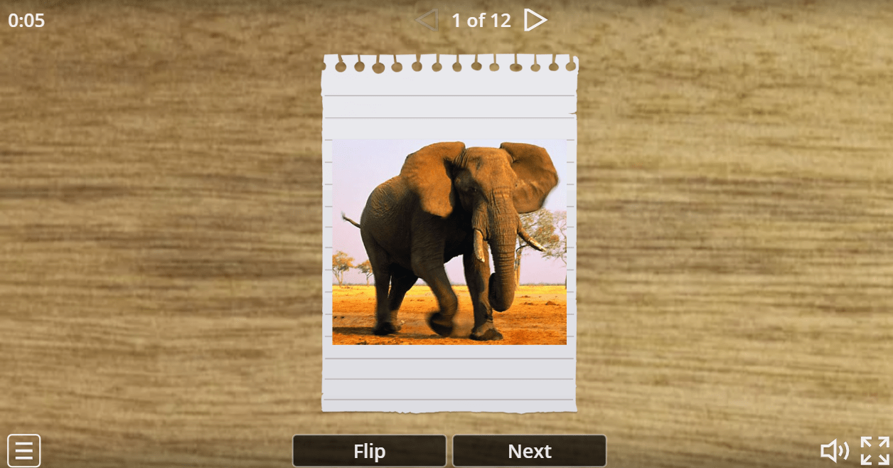 7.4 Wild Animals (Flashcards)